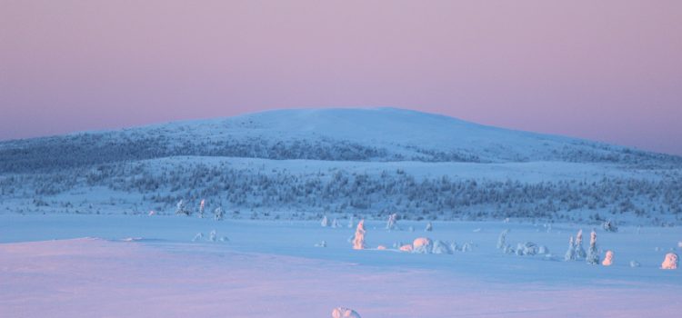 Hämta vatten och bära ved.