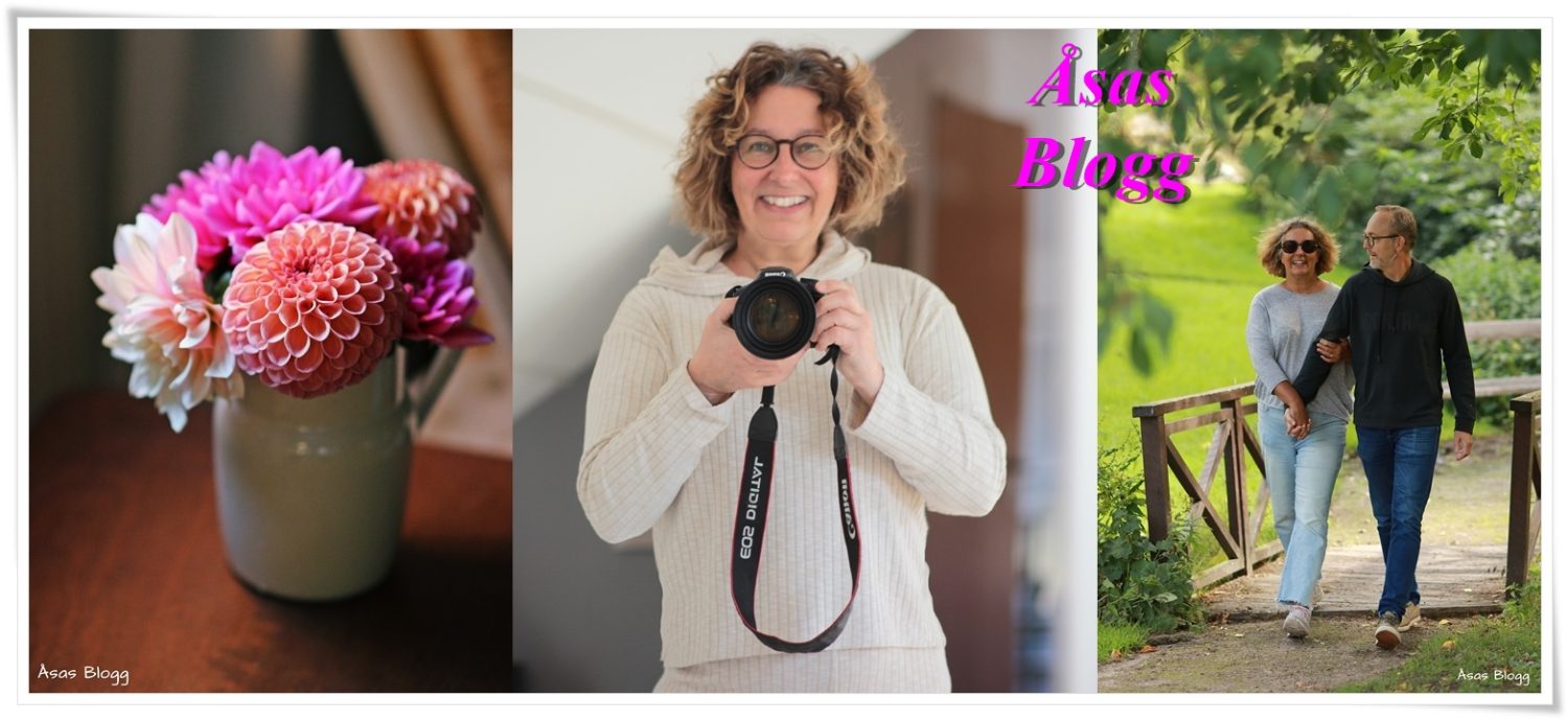 Åsas Blogg